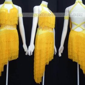 latin competition dance apparels for competition,discount latin dance dresses:LD