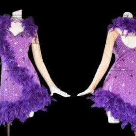 Custom Made Latin Dress,Latin Dresses Purple LD-SG1811