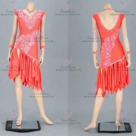Applique Female Latin Dress Swing Samba Dance Clothing LD-SG2188