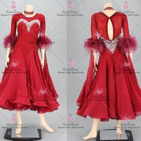 Bespoke Applique Smooth Ballroom Dance Dress BD-SG4038
