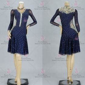 Chiffon Female Latin Dress Swing Samba Dance Clothing LD-SG2146