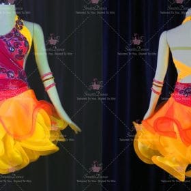 Discount Female Professional Latin Dance Outfits Tango Dance Costumes LD-SG2445