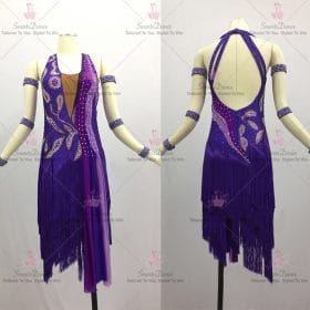 Elegant Affordable Juniors Latin Dress Gown Ballroom Latin Competition Costumes LD-SG2100