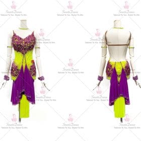Feather Chiffon Latin Dress Chacha Dance Gown Costumes LD-SG1932