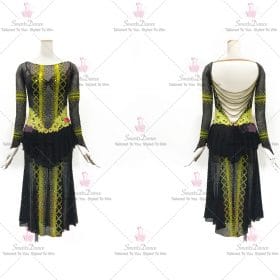 Fringe Satin Latin Dress Chacha Dance Gown Costumes LD-SG1946
