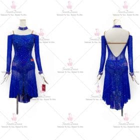 Fringe Satin Latin Dress Mambo Dance Gown Costumes LD-SG1931