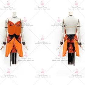 Fringe Satin Latin Dress Tango Dance Gown Costumes LD-SG1941