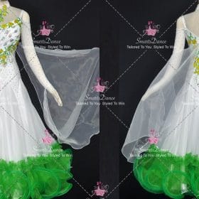 Green And White Tango Womens Dance Costumes Dancer Dresses BD-SG4578