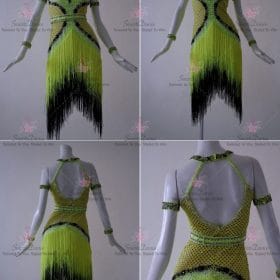 Lace Girls Latin Dress Swing Samba Dance Clothing LD-SG2132