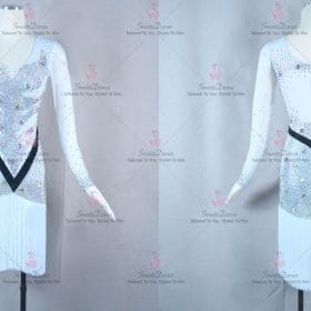 Modern Affordable Ladies Latin Dress Gown Ballroom Latin Competition Costumes LD-SG2109