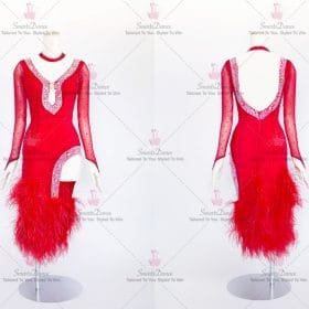 Red Fringe Latin Dance Dress Salsa Practice Wear LD-SG1997