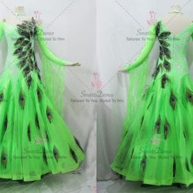 Swarovski Chiffon Girls Ballroom Standard Dress BD-SG3570